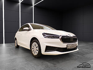 SKODA Fabia Active 1.0MPI LED Sitzhzg. Parkpilot 