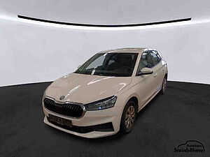 SKODA Fabia Active 1.0MPI LED Sitzhzg. Parkpilot 