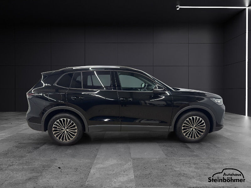 Volkswagen Tiguan Goal 1.5eTSI IQ. Light NAV AHK AreaView